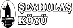 seyhulas-logo