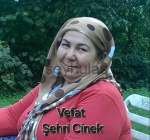 459702682_905962501556356_4110694118363037295_n