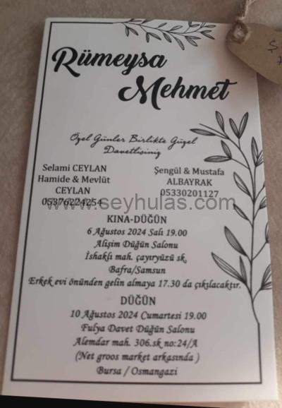 453308809_875838681235405_8831917586397267395_n