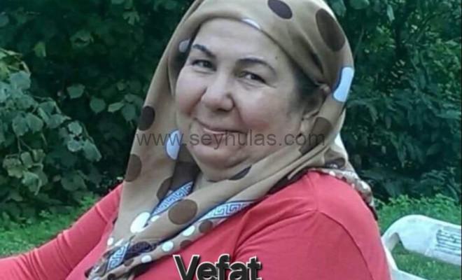 459702682_905962501556356_4110694118363037295_n