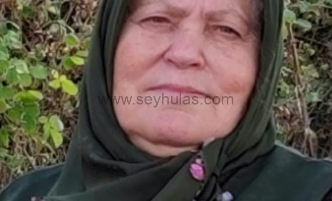 468708407_962057755946830_9090346589841159391_n