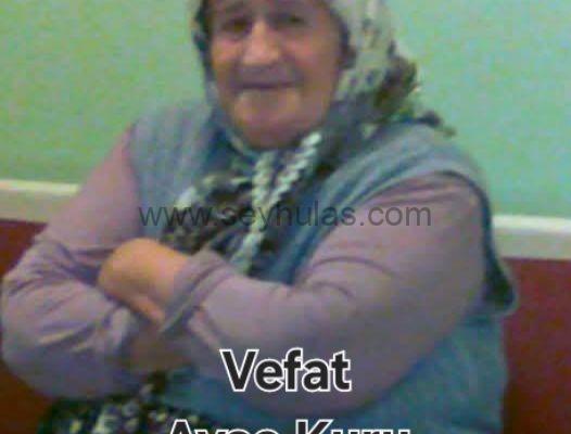 473817847_999053312247274_8667929623033393554_n